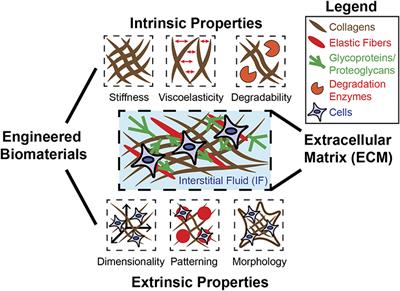 Leveraging Biomaterial Mechanics to Improve Pluripotent Stem Cell Applications for Tissue Engineering